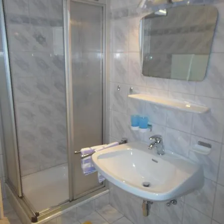 בית אירוח Moser *